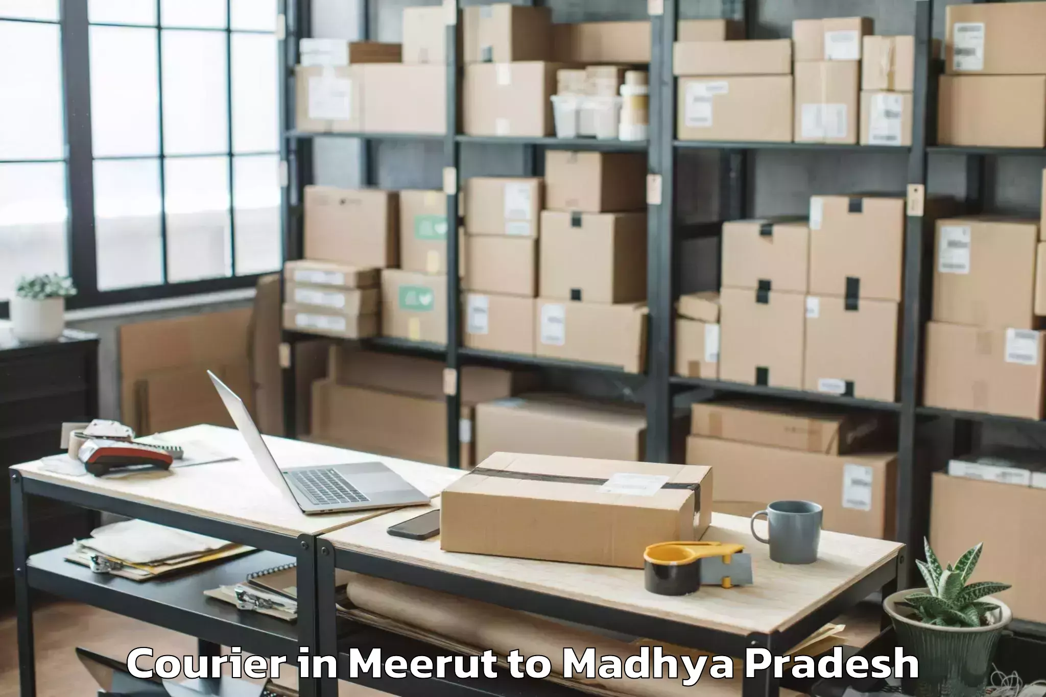 Professional Meerut to Malthon Courier